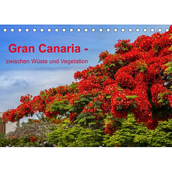 Gran Canaria - zwischen Wüste und Vegetation (Tischkalender 2022 DIN A5 quer), photography brigitte jaritz