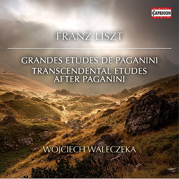 Grand Etudes De Paganini/+, Wojciech Waleczek