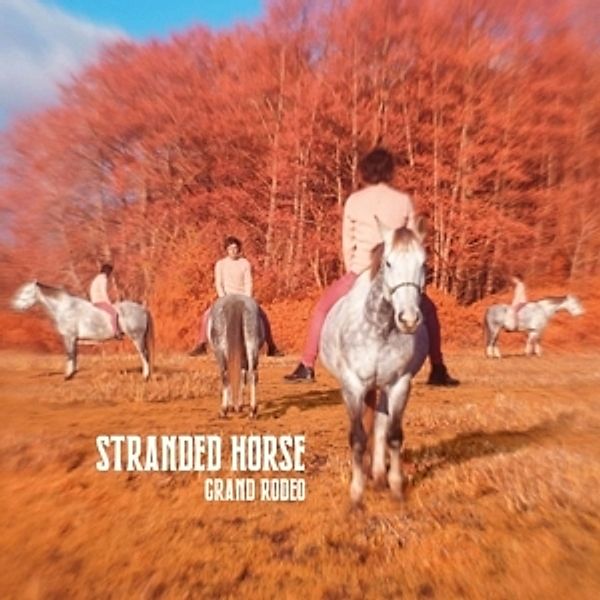 Grand Rodeo, Stranded Horse