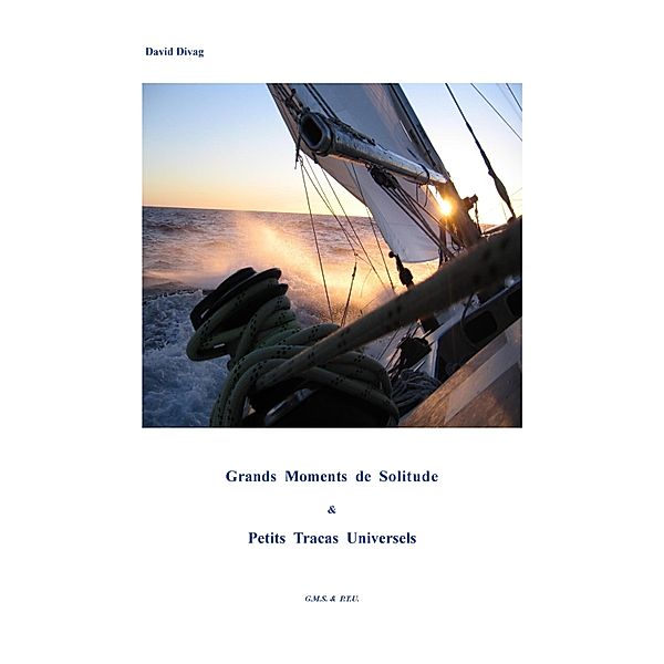 Grands moments de solitude & petits tracas universels / Librinova, Divag David Divag