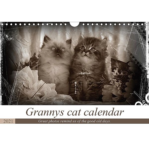 Granny's cat calendar (Wall Calendar 2021 DIN A4 Landscape), Sylvia Säume