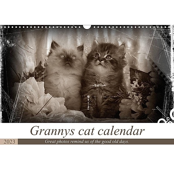 Granny's cat calendar (Wall Calendar 2023 DIN A3 Landscape), Sylvia Säume