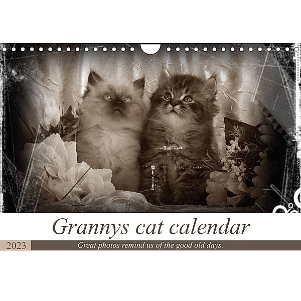 Granny's cat calendar (Wall Calendar 2023 DIN A4 Landscape), Sylvia Säume