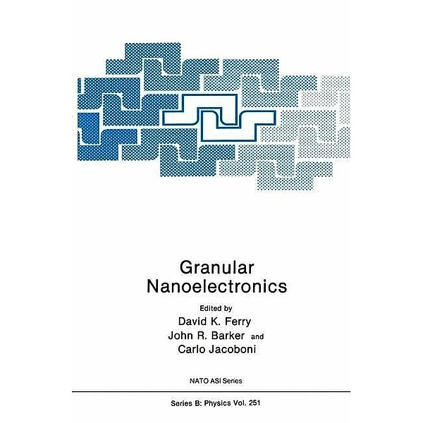 Granular Nanoelectronics / NATO Science Series B: Bd.251