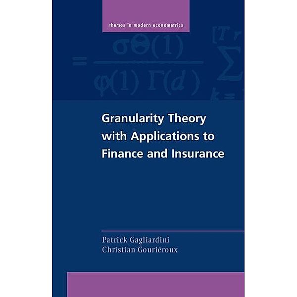 Granularity Theory with Applications to Finance and Insurance / Themes in Modern Econometrics, Patrick Gagliardini