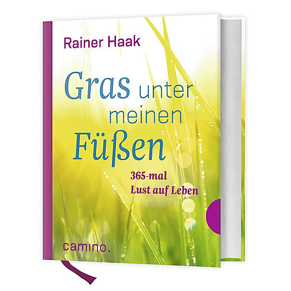 Gras unter meinen Füssen, Rainer Haak