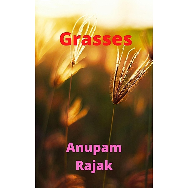 Grasses, Anupam Rajak