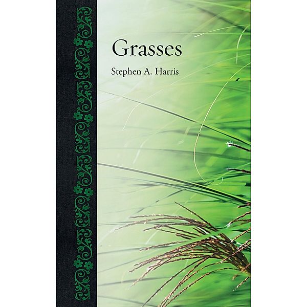 Grasses / Botanical, Harris Stephen A. Harris