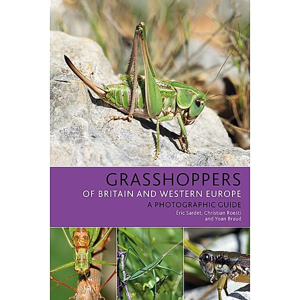 Grasshoppers of Britain and Western Europe, Éric Sardet, Christian Roesti, Yoan Braud