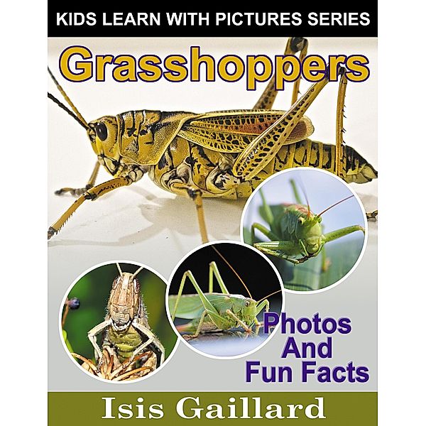 Grasshoppers Photos and Fun Facts for Kids (Kids Learn With Pictures, #135) / Kids Learn With Pictures, Isis Gaillard