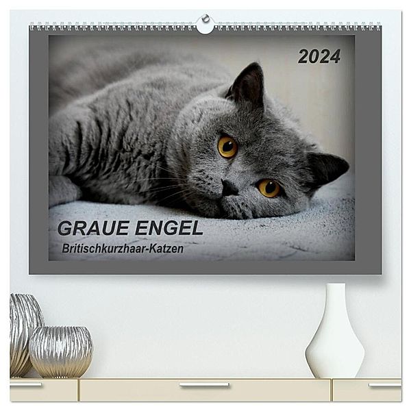 GRAUE ENGEL Britischkurzhaar-Katzen (hochwertiger Premium Wandkalender 2024 DIN A2 quer), Kunstdruck in Hochglanz, Jacky-fotos