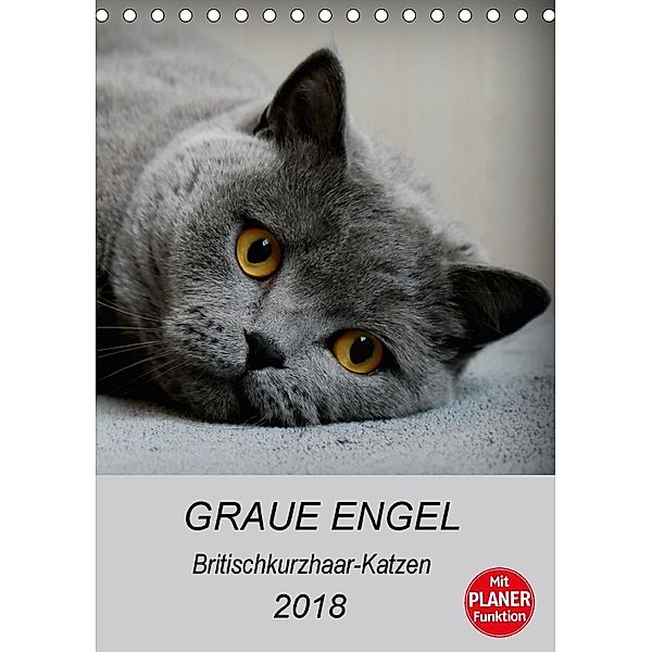 Graue Engel - Britischkurzhaar-Katzen (Tischkalender 2018 DIN A5 hoch) Dieser erfolgreiche Kalender wurde dieses Jahr mi, Jacqueline Brumma