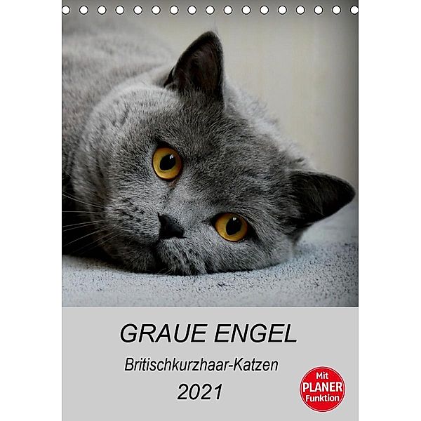 Graue Engel - Britischkurzhaar-Katzen (Tischkalender 2021 DIN A5 hoch), Jacqueline Brumma / Jacky-fotos