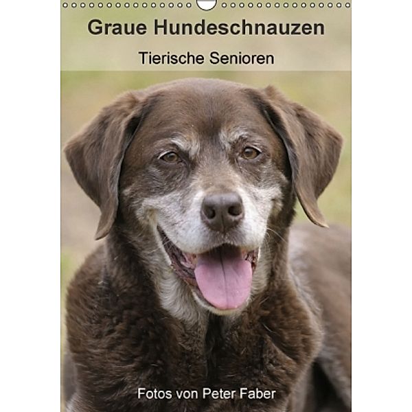 Graue Hundeschnauzen - Tierische Senioren (Wandkalender 2015 DIN A3 hoch), Peter Faber