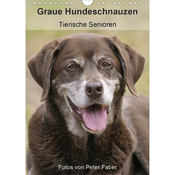 Graue Hundeschnauzen - Tierische Senioren (Wandkalender 2020 DIN A4 hoch), Peter Faber