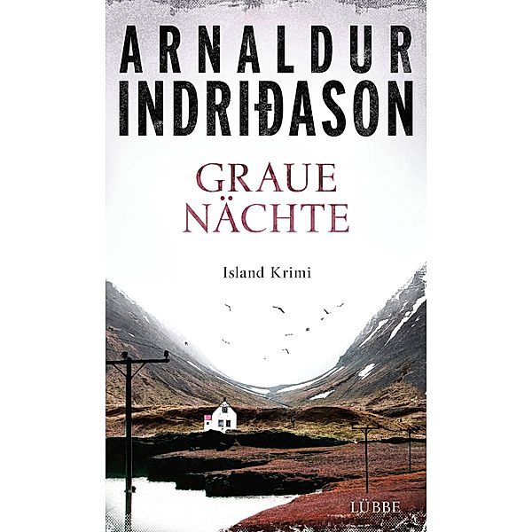 Graue Nächte / Flovent & Thorson Bd.2, Arnaldur Indriðason