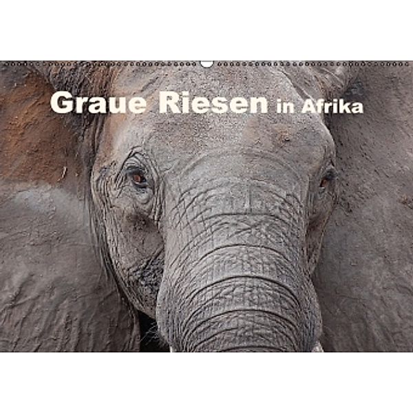 Graue Riesen in Afrika AT-Version (Wandkalender 2016 DIN A2 quer), Michael Herzog