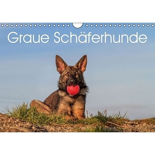 Graue Schäferhunde (Wandkalender 2016 DIN A4 quer), Ingrid Bluem