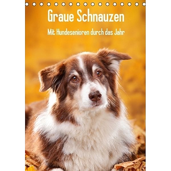 Graue Schnauzen - Mit Hundesenioren durch das Jahr (Tischkalender 2016 DIN A5 hoch), Petra Wegner