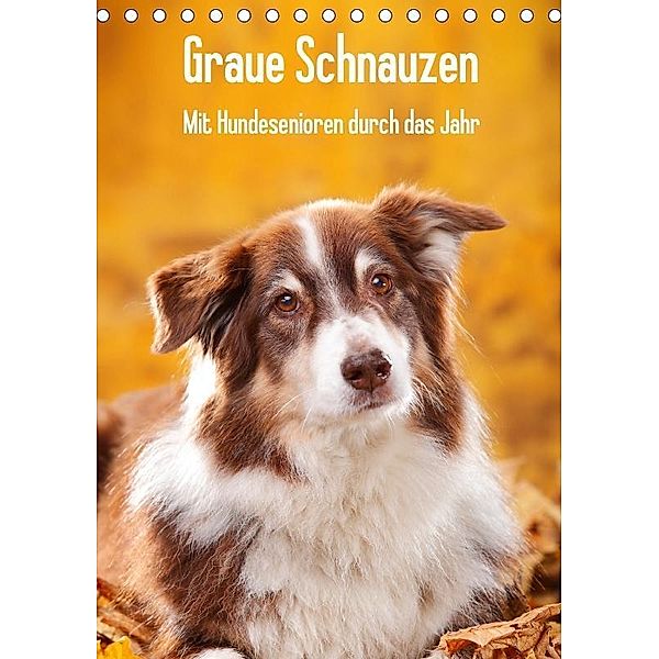Graue Schnauzen - Mit Hundesenioren durch das Jahr (Tischkalender 2017 DIN A5 hoch), Petra Wegner