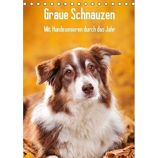 Graue Schnauzen - Mit Hundesenioren durch das Jahr (Tischkalender 2020 DIN A5 hoch), Petra Wegner