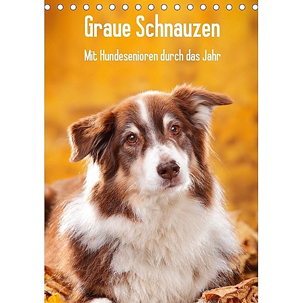 Graue Schnauzen - Mit Hundesenioren durch das Jahr (Tischkalender 2021 DIN A5 hoch), Petra Wegner