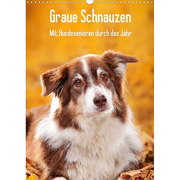 Graue Schnauzen - Mit Hundesenioren durch das Jahr (Wandkalender 2023 DIN A3 hoch), Petra Wegner