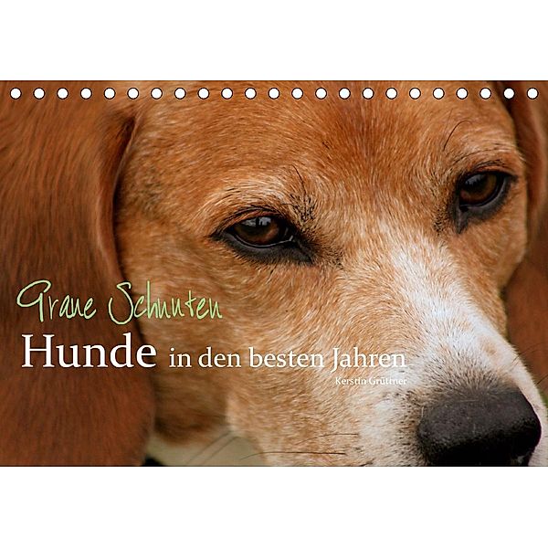 Graue Schnuten - Hunde in den besten Jahren (Tischkalender 2021 DIN A5 quer), Kerstin Grüttner