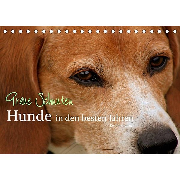 Graue Schnuten - Hunde in den besten Jahren (Tischkalender 2023 DIN A5 quer), Kerstin Grüttner