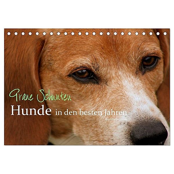 Graue Schnuten - Hunde in den besten Jahren (Tischkalender 2024 DIN A5 quer), CALVENDO Monatskalender, Kerstin Grüttner