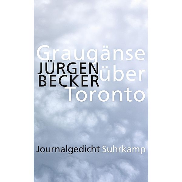 Graugänse über Toronto, Jürgen Becker