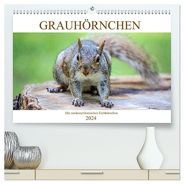 Grauhörnchen-Die nordamerikanischen Eichhörnchen (hochwertiger Premium Wandkalender 2024 DIN A2 quer), Kunstdruck in Hochglanz, pixs:sell@fotolia; pixs:sell@Adobe Stock