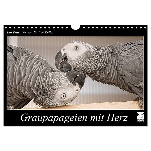 Graupapageien mit Herz (Wandkalender 2024 DIN A4 quer), CALVENDO Monatskalender, Nadine Keller