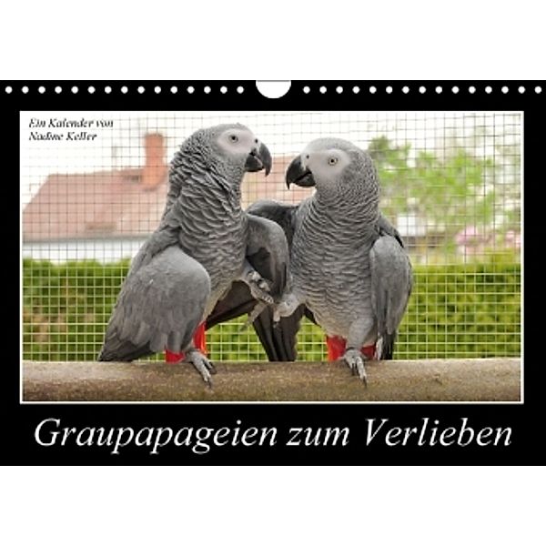 Graupapageien zum Verlieben (Wandkalender 2016 DIN A4 quer), Nadine Keller