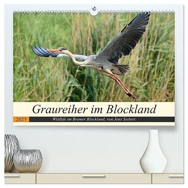 Graureiher im Blockland (hochwertiger Premium Wandkalender 2025 DIN A2 quer), Kunstdruck in Hochglanz, Calvendo, Jens Siebert