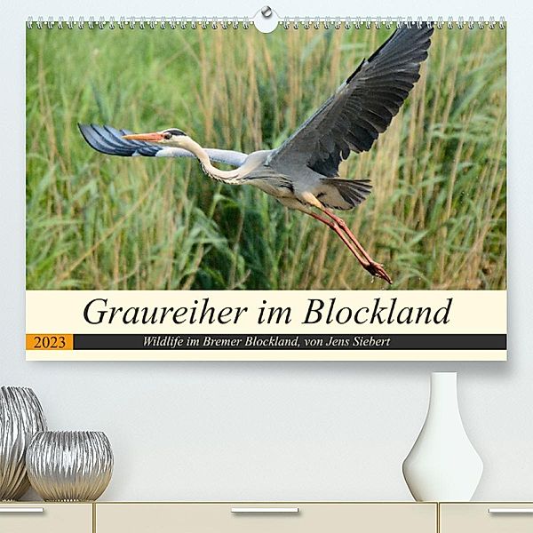 Graureiher im Blockland (Premium, hochwertiger DIN A2 Wandkalender 2023, Kunstdruck in Hochglanz), Jens Siebert