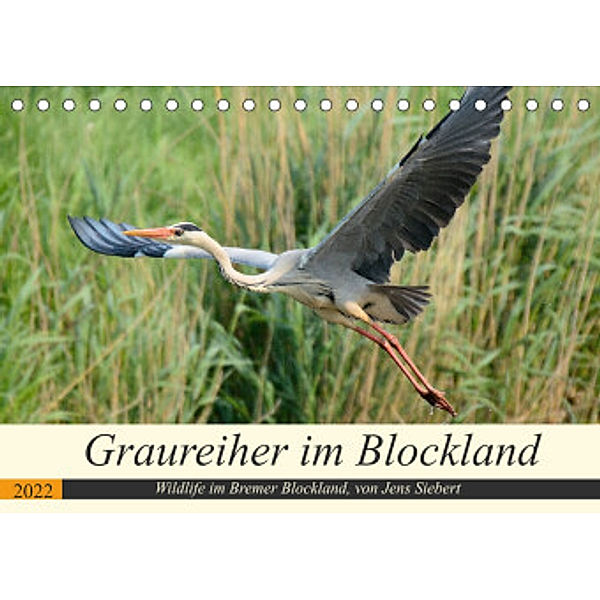 Graureiher im Blockland (Tischkalender 2022 DIN A5 quer), Jens Siebert