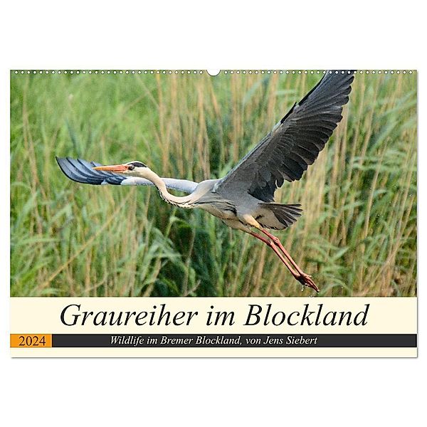 Graureiher im Blockland (Wandkalender 2024 DIN A2 quer), CALVENDO Monatskalender, Jens Siebert