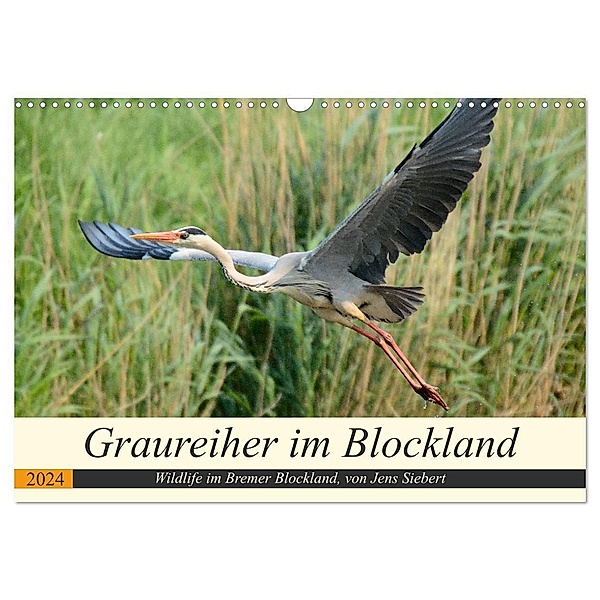 Graureiher im Blockland (Wandkalender 2024 DIN A3 quer), CALVENDO Monatskalender, Jens Siebert