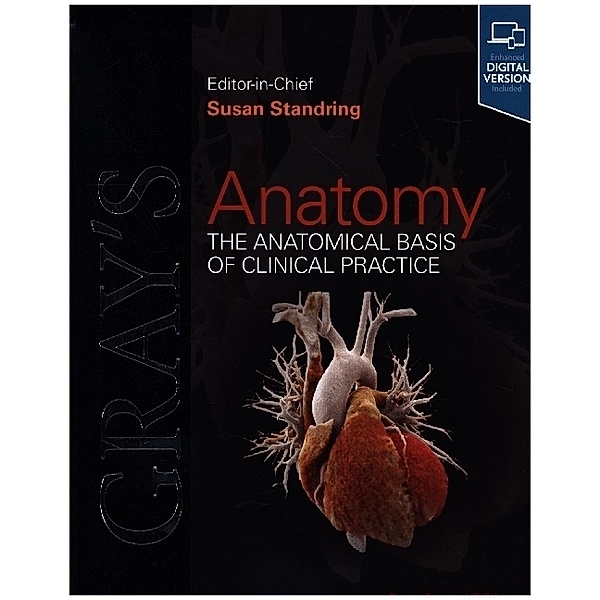Gray's Anatomy, Susan Standring