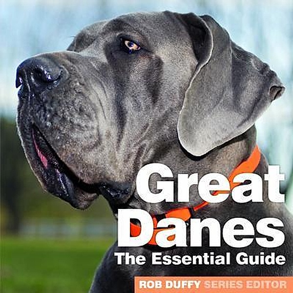 Great Danes The Essential Guide