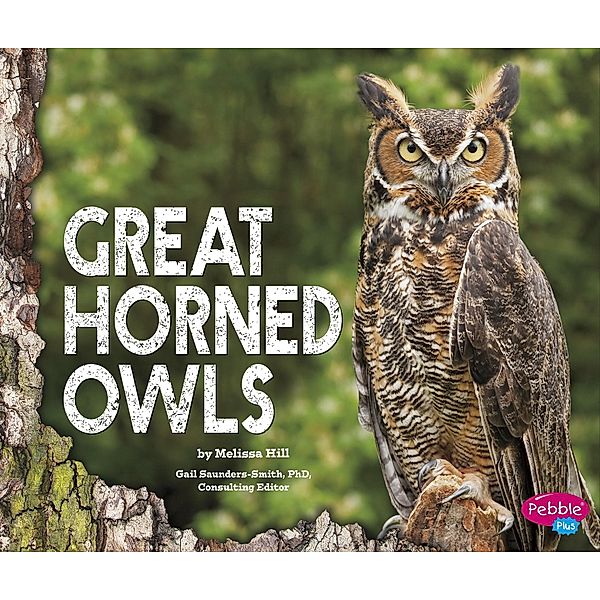 Great Horned Owls / Raintree Publishers, Melissa Hill