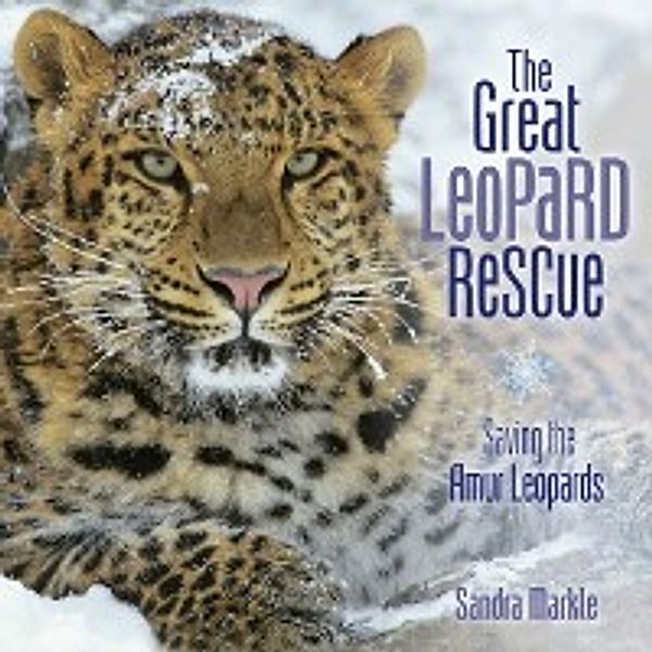 Great Leopard Rescue, Sandra Markle