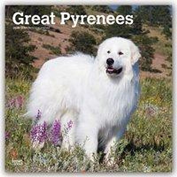 Great Pyrenees - Pyrenäenhunde 2020, BrownTrout Publisher