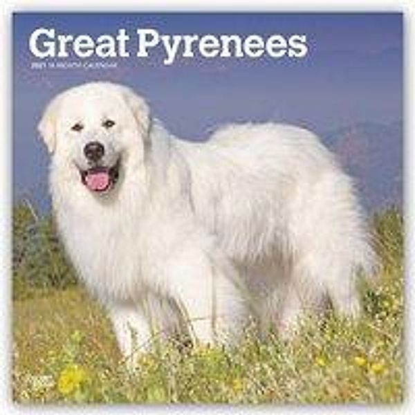 Great Pyrenees - Pyrenäenhunde 2021 - 16-Monatskalender mit freier DogDays-App, BrownTrout Publisher