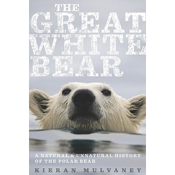 Great White Bear, Kieran Mulvaney