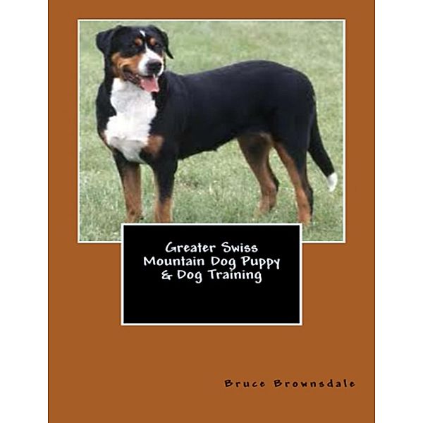 Greater Swiss Mountain Dog Puppy & Dog Training, Bruce Brownsdale