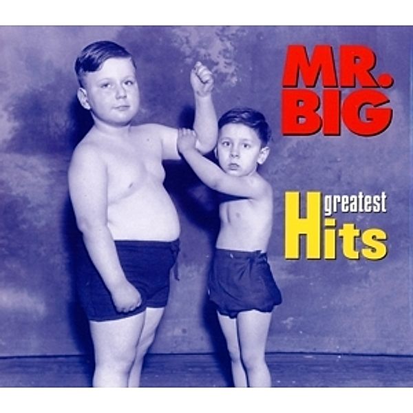 Greatest Hit, Mr.Big