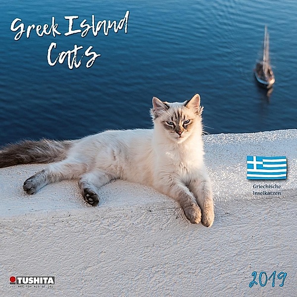 Greek Island Cats 2019