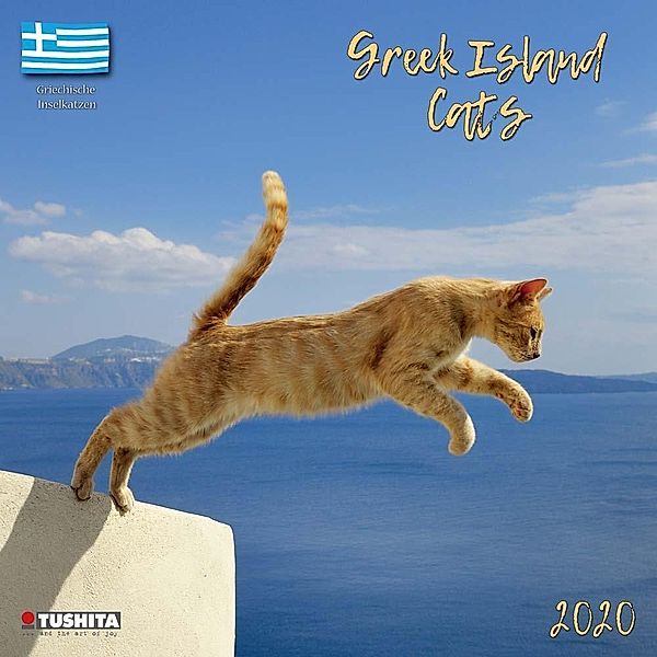 Greek Island Cats 2020